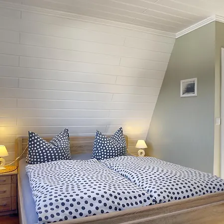 Bull Fw 1 * 青斯特